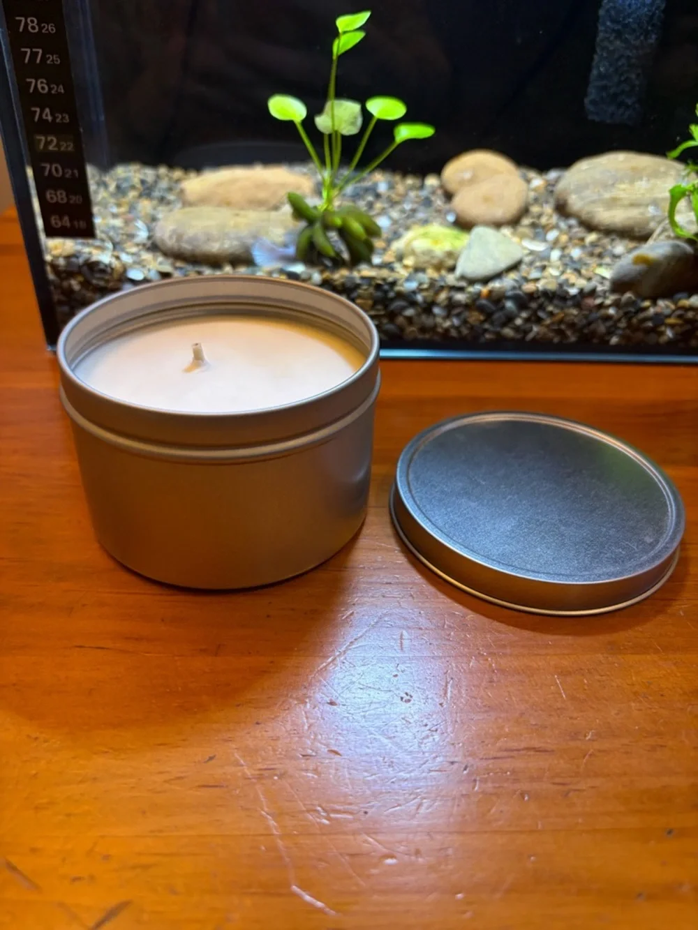 Trader Joe’s Honeycrisp Apple Scented Candle